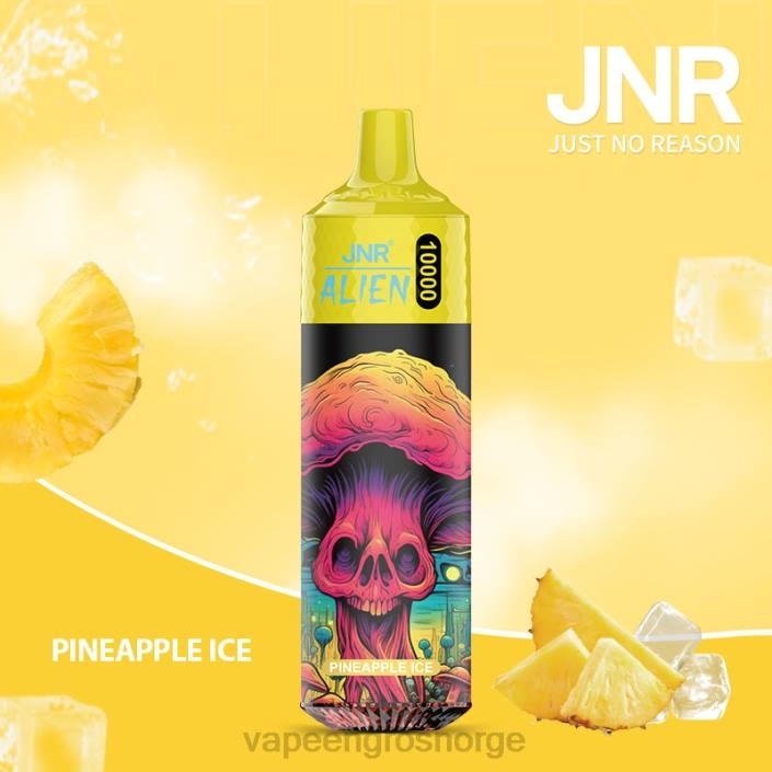 vape juice bottles wholesale | 626N659 ananas is JNR ALIEN