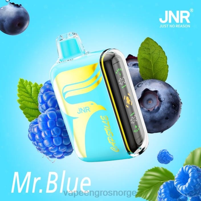 vape bergen | 626N606 mr.blå JNR CAPSULE