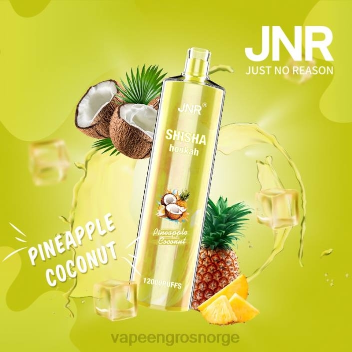 vape bergen | 626N686 ananas kokos JNR SHISHA