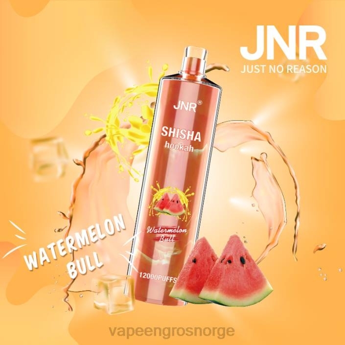 vape engros Norge | 626N692 vannmelon okse JNR SHISHA