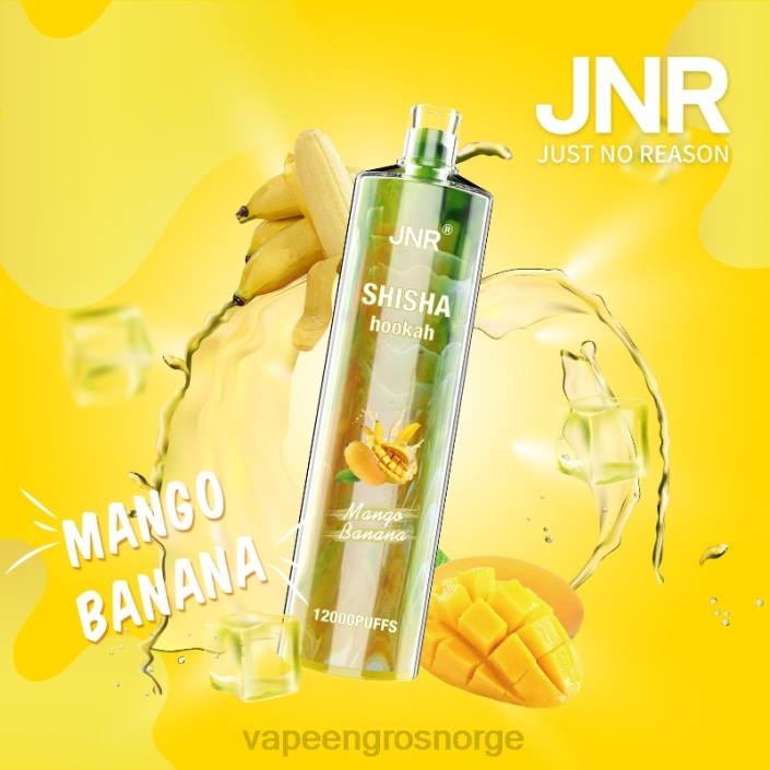 vape med nikotin Norge | 626N684 mango banan JNR SHISHA