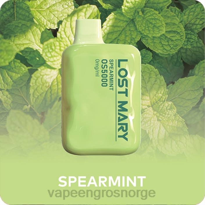 vape bergen | 626N506 spearmint LOST MARY OS5000 0 mg/ml