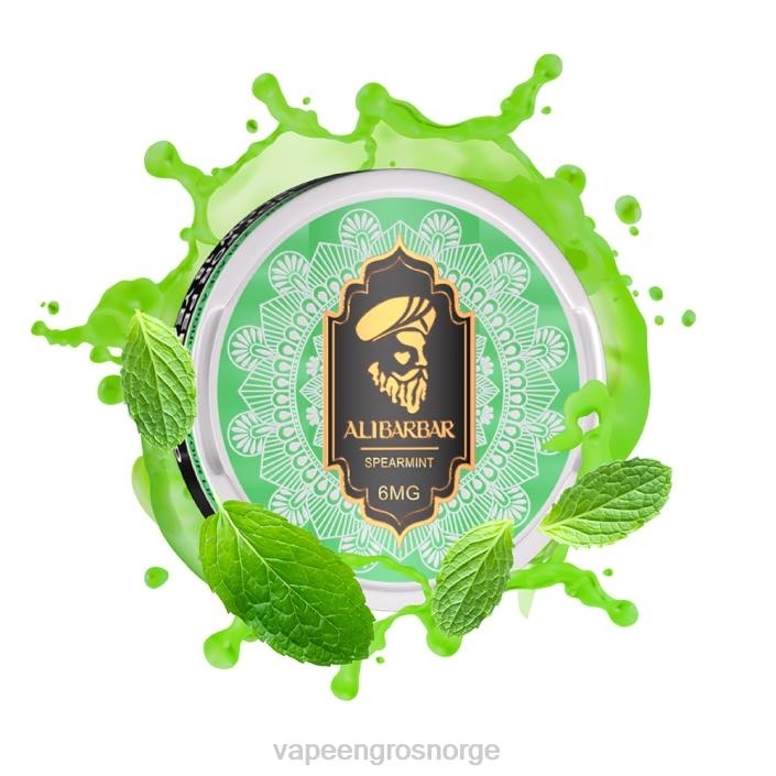 vape bergen | 626N56 spearmint ALIBARBAR nikotinpose