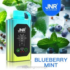 elux vape juice wholesale | 626N618 blåbær mynte JNR SHISHA BOX