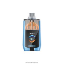 Engangs Vape Bergen - jordbæris LAVIE CAMEO 30 000 drag PXPPZ13