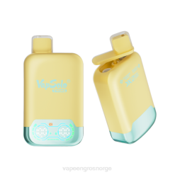Engangs Vape Norge - Vapsolo TWINS engangs vape ananas kokos og jordbær banan P42J125