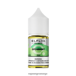 Spearmint ELFBAR ELFLIQ Nic salt 30 ml LT0HV029