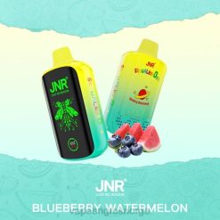 vape bergen | 626N586 blåbær vannmelon JNR SKYWALKER BOX