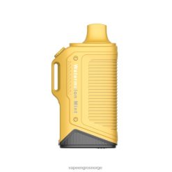 Vape Engangsbruk - vannmelon mynte LAVIE Energy Box 15 000 drag PXPPZ70