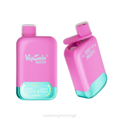 Vape Engangsbruk - Vapsolo TWINS engangs vape jordbær bringebær kirsebæris og drueis P42J127