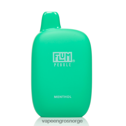 Vape Engros Norge - FLUM PEBBLES 6000 drag mentol 40TLBB35