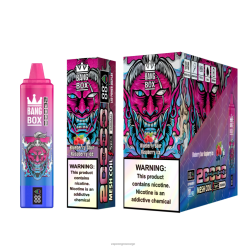 Vape Flavours Wholesale - Bang Box 20 000 blåbærsur bringebæris 60X4L55
