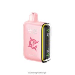 Vape Flavours Wholesale - jordbæris LAVIE PLUS 15 000 drag PXPPZ104
