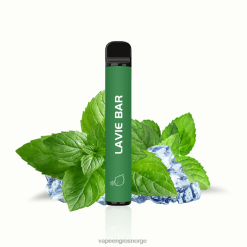 Vape Flavours Wholesale - kjølig mynte LAVIE BAR 2 % versjon 800 puff PXPPZ320