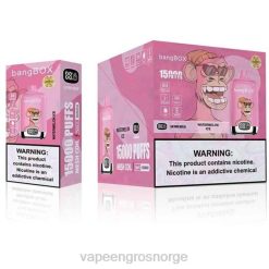 vape juice bottles wholesale | 626N139 vannmelon is Bang Box 15 000
