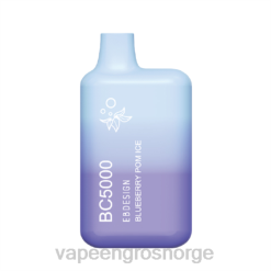 vape juice bottles wholesale | 626N299 blåbær pom is ELFBAR BC5000