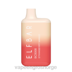 vape juice bottles wholesale | 626N309 jordbær mango ELFBAR BC5000