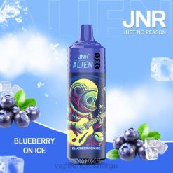 vape juice bottles wholesale | 626N639 blåbær på is JNR ALIEN