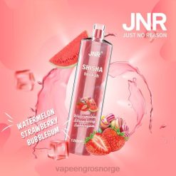 vape med nikotin Norge | 626N694 vannmelon jordbær bubblegum JNR SHISHA