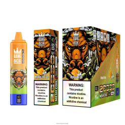 Vape Smak Engangs - Bang Box 20 000 mango på is 60X4L54