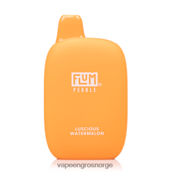 Vape Smak Engangs - FLUM PEBBLES 6000 drag deilig vannmelon 40TLBB31