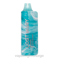vape wholesale Norge | 626N531 plomme rose mynte LOST MARY MO5000