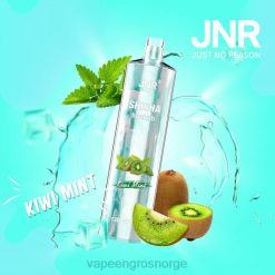 vape wholesale Norge | 626N681 kiwi mynte JNR SHISHA