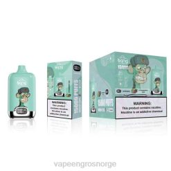vape wholesale oslo | 626N133 jordbær kiwi Bang Box 15 000